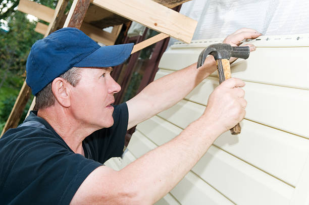 Best Vinyl Siding Installation  in Belle Chasse, LA